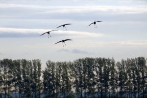 На цель заходят...