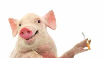 Скрины из социальных сетей