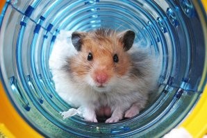 Так можно помедленнее ! По словам аффтора если ограничат работу тытуба,твистера и фесбуха ,то это приведет к "деградации" сети ?! Афтор ты представляешь на сколько узок и недалек твой внутренний мир !Вот же ты и тебе подобные бедолаги ничтожные!