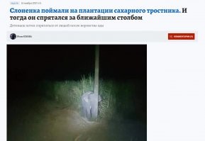 Скрытность 80 lvl: "филигранная" кража антисептика из кафе в Запорожье попала на видео