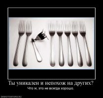 Мутации омаров: 6 странных разновидностей в порядке увеличения редкости