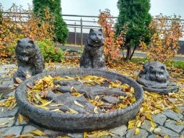 У нас в городе несколько своеобразных скульптур. Объявлен городом котов, а потому их много и повсюду. И живые пушистики конечно.))) Главный, памятник коту в окне. Второй памятник прусскому коту. Третий украшение "Котофейни". Но есть и коты-молодожёны, возле ЗАГСа, и кот-рыбак, и кот-пожарный. Есть скамейки с котами, даже столбики антипарковочные!  Ещё интересные скульптуры малой формы- каменные птички. На фото одна, но их целая стайка. И наш частый гость на берегу- серый балтийский тюлень. Вот и сделали ему скульптуру на самом берегу моря. Мне очень нравится.