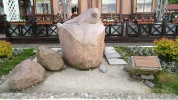 У нас в городе несколько своеобразных скульптур. Объявлен городом котов, а потому их много и повсюду. И живые пушистики конечно.))) Главный, памятник коту в окне. Второй памятник прусскому коту. Третий украшение "Котофейни". Но есть и коты-молодожёны, возле ЗАГСа, и кот-рыбак, и кот-пожарный. Есть скамейки с котами, даже столбики антипарковочные!  Ещё интересные скульптуры малой формы- каменные птички. На фото одна, но их целая стайка. И наш частый гость на берегу- серый балтийский тюлень. Вот и сделали ему скульптуру на самом берегу моря. Мне очень нравится.