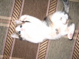 С добрым утром!