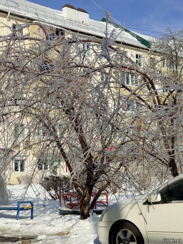 Прикольные и смешные картинки