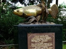Рыбке Гамбузия. За помощь в борьбе с малярией памятники установлены на Корсике и в Израиле. Вклад маленькой рыбки в большую историю развития человечества. Адлерский район Большого Сочи.