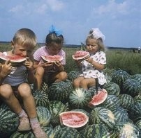 Офигенско.
В  таком же, примерно,  возрасте был на местной бахче - распаханное поле силами предприятия - сажали арбузные семечки. А вот урожай собрать не довелось: школа, первый класс постигли меня.