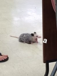 епать, как это сложно готовить...