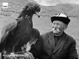 Беркут: Закрытая территория. Что будет с тем, кто пересёк его владения?