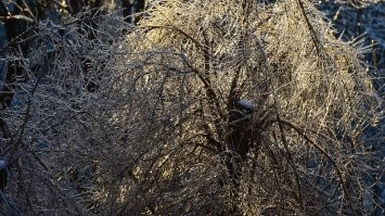 А чо красота . Вот , снимал с балкона часа четыре назад ...