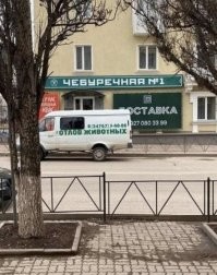 Забавные совпадения на уличных снимках Антимоса Нтагкаса
