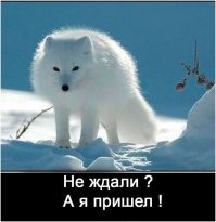 Бывшего охранника концлагеря депортируют из США в Германию