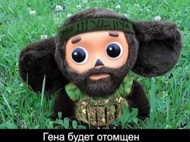 Дедушка спас щенка из пасти аллигатора