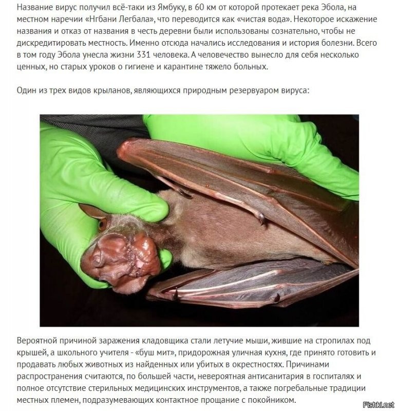 Может у вас "не те фишки", а может у вас "кривой" браузер.
Специально сделал принтскрины для тех, кто спорит, что "картинки не на местах":
---------------------------