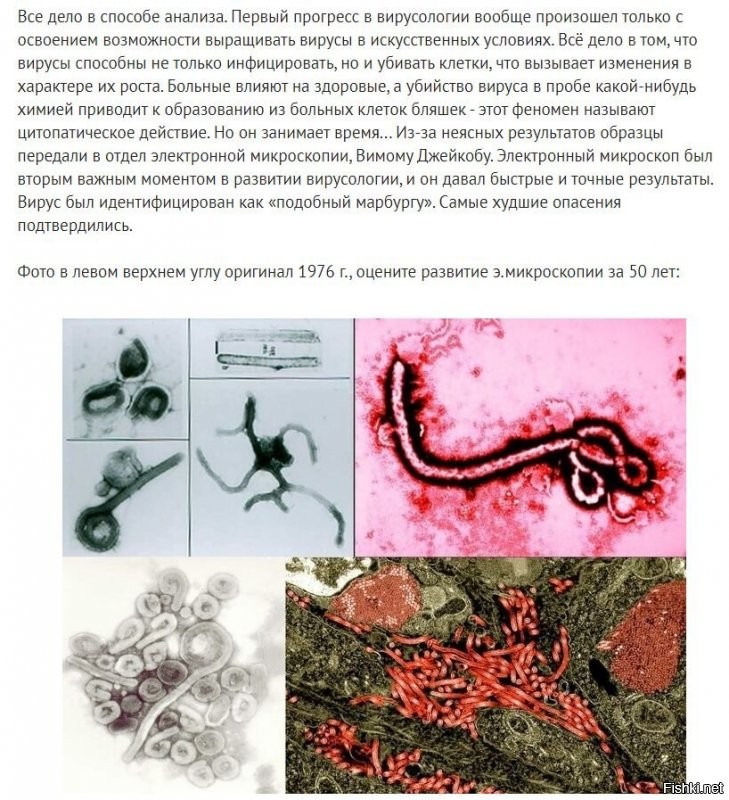 Может у вас "не те фишки", а может у вас "кривой" браузер.
Специально сделал принтскрины для тех, кто спорит, что "картинки не на местах":
---------------------------