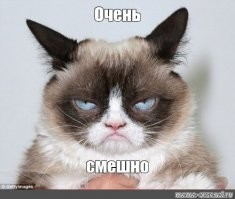 Слова дня, отражающие истинную суть вещей