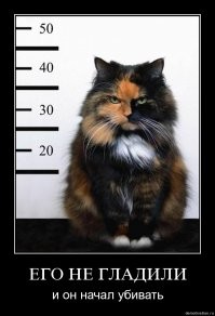 Намешалось