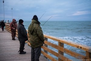 Рыбы мало. Основную всю продают за бугор. Потому цены диктует спрос, а он огромный. Ну и нельзя забывать про всякие откатики, взяточки, подмазочки, для работы и продажи. Я работала ка рыбоконсервном и рыбу, кильку закупали в... Южной Африке! Цены, как вы понимаете...
 Вот такова была рыбалка и самое главное переработка  в моём городе лет сто назад. И так рыбачили во всех поселениях по побережью. На втором фото видно устройство для вытягивания лодок на зимовку. В курортный сезон те самые рыбаки и их лодки катали отдыхающих. Переработка заключалась не только в вялении как на первом фото. Была специальная сольня. К ней подведены рельсы(!) и там обрабатывали очень много рыбы, укладывали в бочки и продавали. А вот сегодняшние рыбаки. И вид побережья.