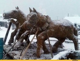 В Якутии сена нет, зато говна...