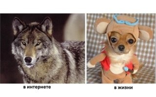 скорее уж так