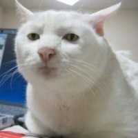 Слова дня, отражающие истинную суть вещей
