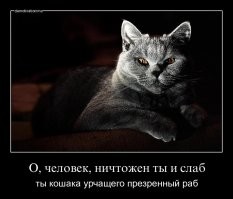 Последнюю то же не берите. Она из очень-очень далёкой Галактики....