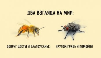 Люблю осеннюю Москву