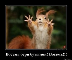 Белка наелась забродивших груш