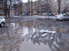 ну а чего ж ее не любить, красота ж