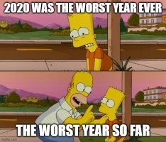 Пользователи сети описали 2020 год забавными фотографиями