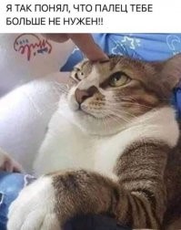 Прикольные и смешные картинки