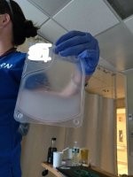 "Неизвестный похищает образцы секретного Т-вируса из лаборатории и во время побега умышленно разбивает одну колбу со штаммом. Срабатывает система защиты, центральный компьютер во избежание распространения вируса убивает всех работников комплекса."

 Resident Evil