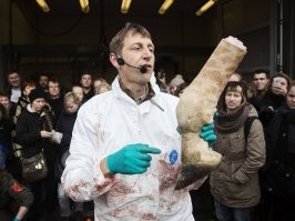 В Дании уничтоженные из-за коронавируса норки начали вылезать из могил