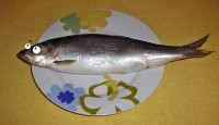 Если ты думаешь, что твоя работа бесполезна вспомни, о ВМС Швеции