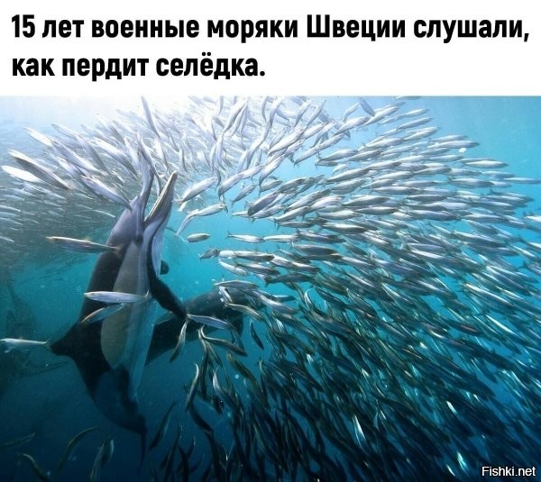 "чужие слабости надо уважать" (с) :D