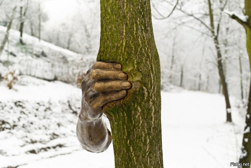Итальянский художник Джузеппе Пеноне установил бронзовую руку на дереве в Nasher Sculpture Center (Даллас, США) в 1968 году.
Скульптура была изготовлена на основе слепка руки и предплечья самого Пеноне. Тогда художник прикрепил руку к саженцу, и на протяжении всех этих лет дерево буквально росло вокруг изваяния.