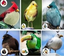 По поводу Angry Birds....