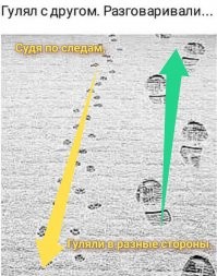 Прикольные и смешные картинки