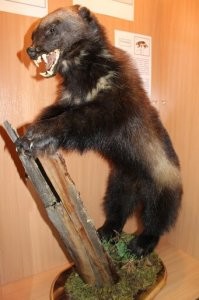 Они плять дождутся !!!