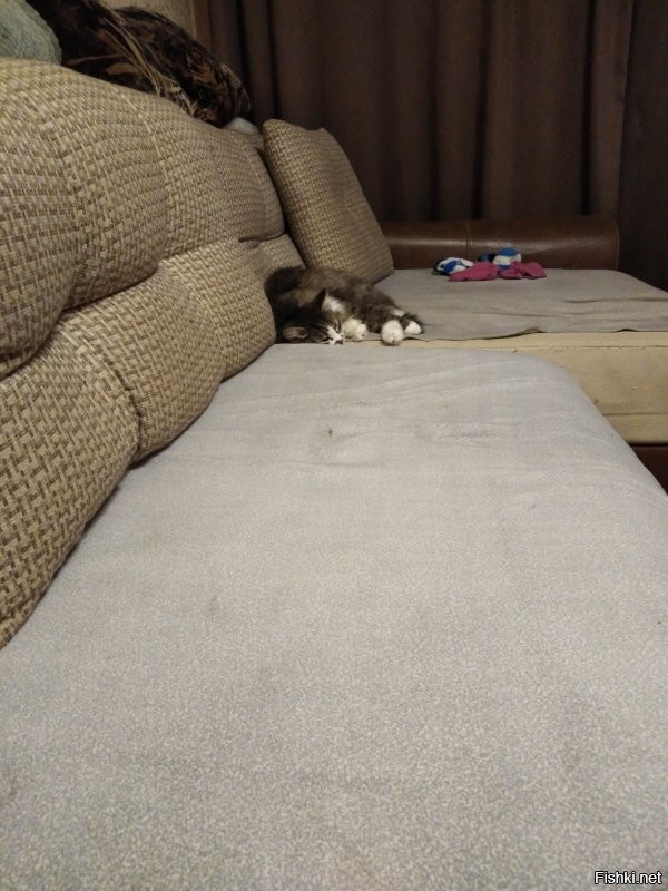 В данный момент он заполняет диван!