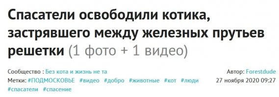 Застревают не между "кого? чего?", а между "кем? чем?", НЕУЧИ!   

Какому языку вы учите своих читателей, деграданты?..