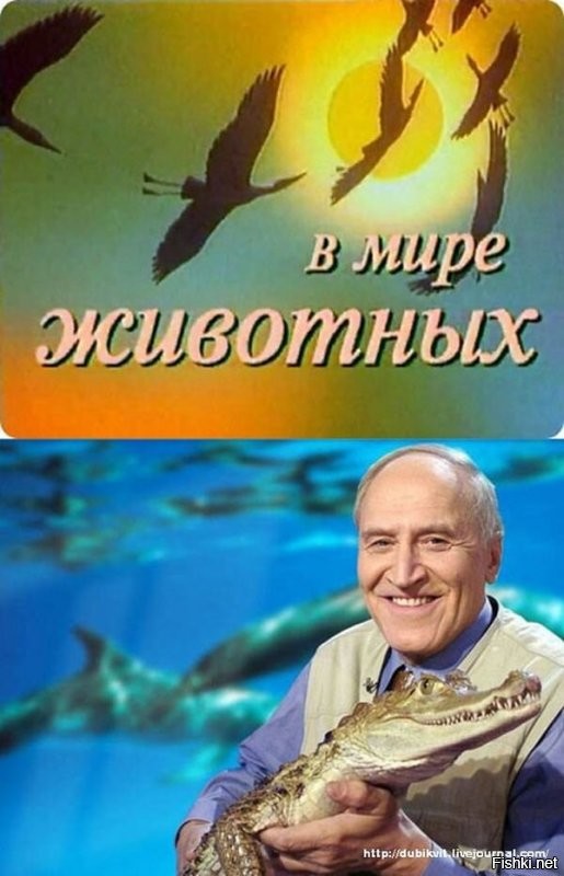 Вид: Масочник обыкновенный. 
Семейство: привито- чипированных. 
Среда обитания: 
широко распространён на всей территории Европы, России и Азии, благодаря программе "Идиот без границ" распространился почти везде. 
Существо очень осторожное, редко покидает жилище в поисках пропитания, но может быть агрессивен по отношению к людям, особенно когда сбивается в стаи. 
Масочник обыкновенный неприхотлив, исполнителен, безприкословен, выполняет все пожелания и приказы, легко поддается дрессировке, но искренне считает себя свободным и даже человеком. 
Особенности: не способен логически мыслить, наблюдать и анализировать - очень важно, для напоминания тем, кто пытается им что-то объяснять.(с)