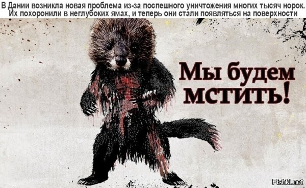 А почему в Дании не бились в припадках зоозащитники, почему не вскрывали себе вены возле клеток с зверьками, почему наконец их на волю не выпустили?