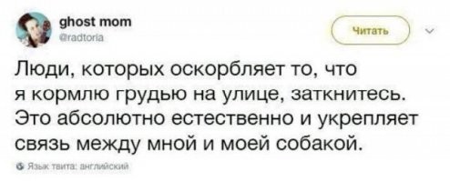Облажались по-крупному: неловкие ситуации, в которые люди попали по собственной вине