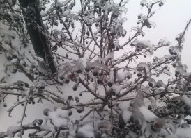 Подмосковье.