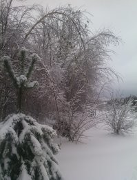 Подмосковье.