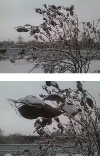 Подмосковье.