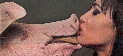 напомнило недавние фотки с Денни Трехо.
Свинья, наверное, тоже богата.