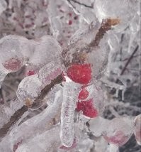 Владивосток неделю назад.