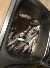 Классно . Вот мои фотки час назад . Промёрз слегка , Погода не лётная , закрыл сезон .